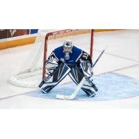 Goaltender Alex D'Orio with the Saint John Sea Dogs