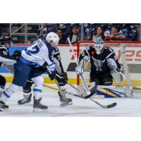 San Antonio Rampage goaltender Jordan Binnington in action against the Manitoba Moose