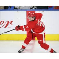 Defenceman Anthony DeMeo with the Sault Ste. Marie Greyhounds