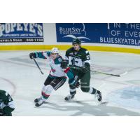 Kelowna Rockets battle the Everett Silvertips