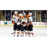 Lehigh Valley Phantoms celebratory huddle