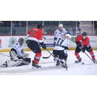 manchester Monarchs forward Cory Ward (11) against the Adirondack Thunder