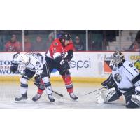 Adirondack Thunder forward Alexandre Carrier tests the Manchester Monarchs goaltender