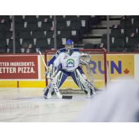 Swift Current Broncos goaltender Joel Hofer