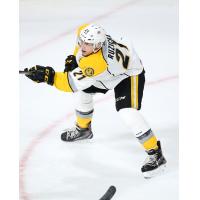 Forward Adam Ruzicka wtih the Sarnia Sting