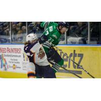 Greenville Swamp Rabbits battle the Florida Everblades