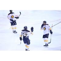 Norfolk Admirals celebrate against Orland