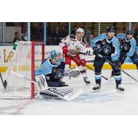 Grand Rapids Griffins test the Milwaukee Admirals defense