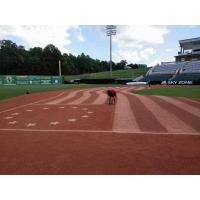 The Ballpark at Jackson, home of the Jackson Generals