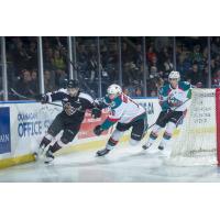 Defenceman Matt Barberis with the Vancouver Giants