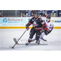 Niagara IceDogs defenceman Elijah Roberts (98) vs. The Guelph Storm