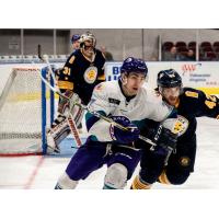 Norfolk Admirals against the Orlando Solar Bears