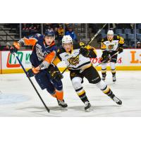 Flint Firebirds vs. the Hamilton Bulldogs