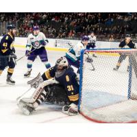 Norfolk Admirals goaltender Merrick Madsen scrambles against the Orlando Solar Bears