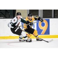 Utah Grizzlies defenseman Nolan De Jong (27) vs. the Wheeling Nailers