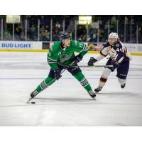 Florida Everblades forward Kyle Platzer against the Greenville Swamp Rabbits