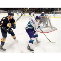 Norfolk Admirals defenseman Chase Harrison (left) vs. the Orlando Solar Bears