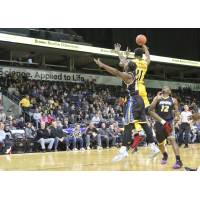 Saint John Riptide against the London Lightning