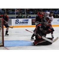 Amarillo Bulls goaltender Justin Evenson mans the crease