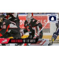 Prince George Cougars goaltender Taylor Gauthier