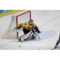 Tri-City Storm goaltender Isaiah Saville