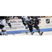 South Carolina Stingrays defenseman Mike Chen vs. the Jacksonville IceMen