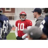 Memphis Express quarterback Troy Cook