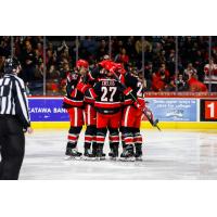 Grand Rapids Griffins celebrate a goal