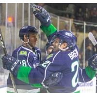 Maine Mariners celebrate a goal