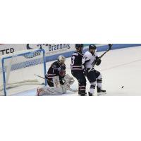 South Carolina Stingrays goaltender Angus Redmond against the Jacksonville IceMen