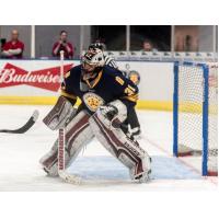 Norfolk Admirals goaltender Merrick Madsen