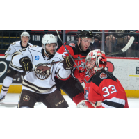 Binghamton Devils goaltender Cam Johnson against the Hershey Bears