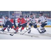 James Henry of the Adirondack Thunder (15) eyes a loose puck against the Wheeling Nailers