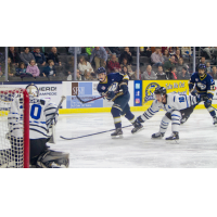 Sioux Falls Stampede center Brian Chambers takes a shot against the Fargo Force