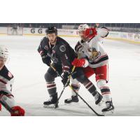 Grand Rapids Griffins battle the Chicago Wolves