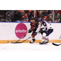 Vancouver Giants defenceman Seth Bafaro (left) against the boards vs. the Tri-City Americans