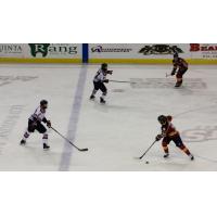 Evansville Thunderbolts defend against the Peoria Rivermen