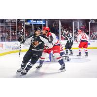 Utah Grizzlies forward Caleb Herbert celebrates a goal