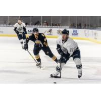 Norfolk Admirals defenseman Chase Harrison (9) closes in on the Jacksonville IceMen