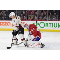 Cleveland Monsters right wing Vitaly Abramov and Laval Rocket goaltender Michael McNiven