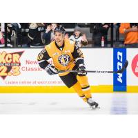 Wheeling Nailers forward Troy Josephs