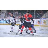 Alex Carrier of the Adirondack Thunder takes on the Brampton Beast