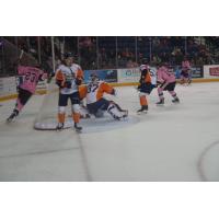 Niagara IceDogs celebrate a goal against the Flint Firebirds