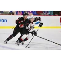 Vancouver Giants right wing Lukas Svejkovsky against the Moose Jaw Warriors