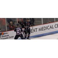 South Carolina Stingrays celebrate a goal