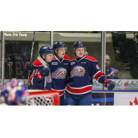 Saginaw Spirit celebrate a goal