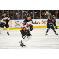 Austin Carroll of the Utah Grizzlies in his Guns N Hoses jersey