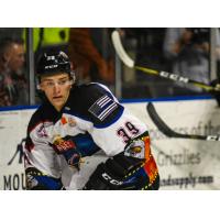 Joey Raats of the Utah Grizzlies in his Guns N Hoses jersey