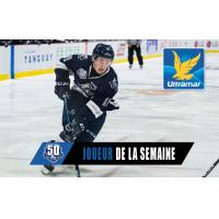 Rimouski Oceanic winger Alexis Lafreniere