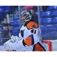 Lehigh Valley Phantoms goaltender Anthony Stolarz